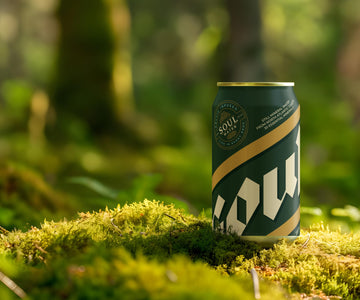 24-Pack of Soul Water